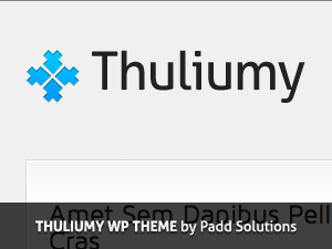 thuliumy theme websites examples