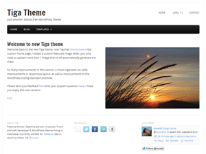 Tiga website example screenshot
