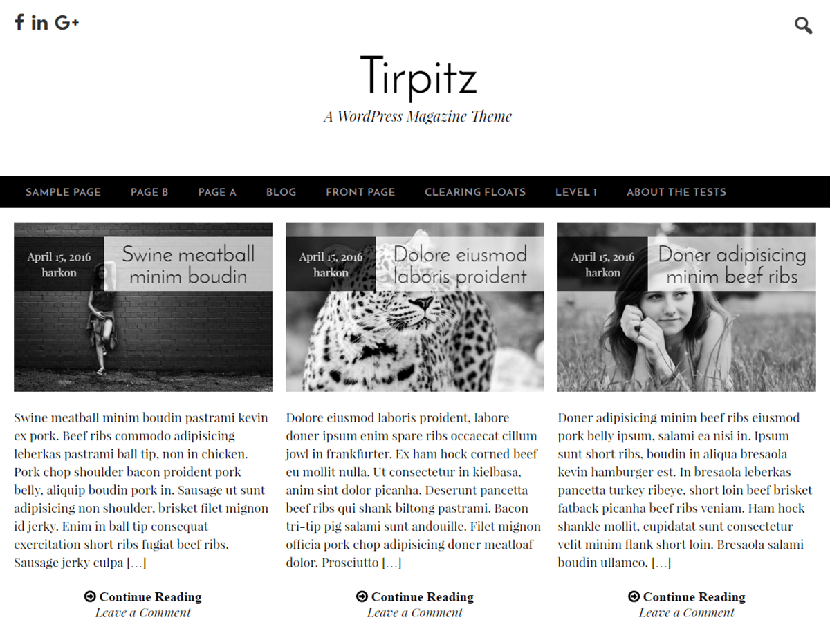 Tirpitz theme websites examples