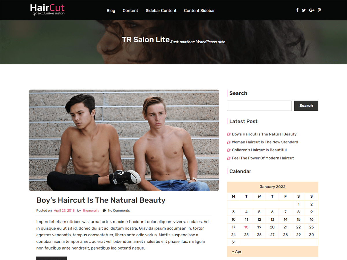 tr-salon-lite WordPress theme, websites list used tr-salon-lite theme tr-salon-lite theme websites examples