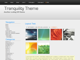 tranquility theme websites examples