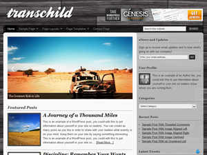 transchild WordPress theme, websites list used transchild theme transchild theme websites examples