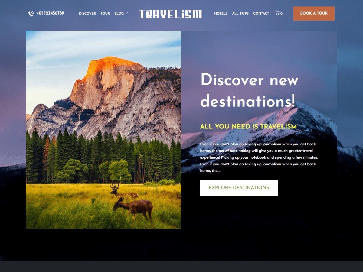 travelism theme websites examples