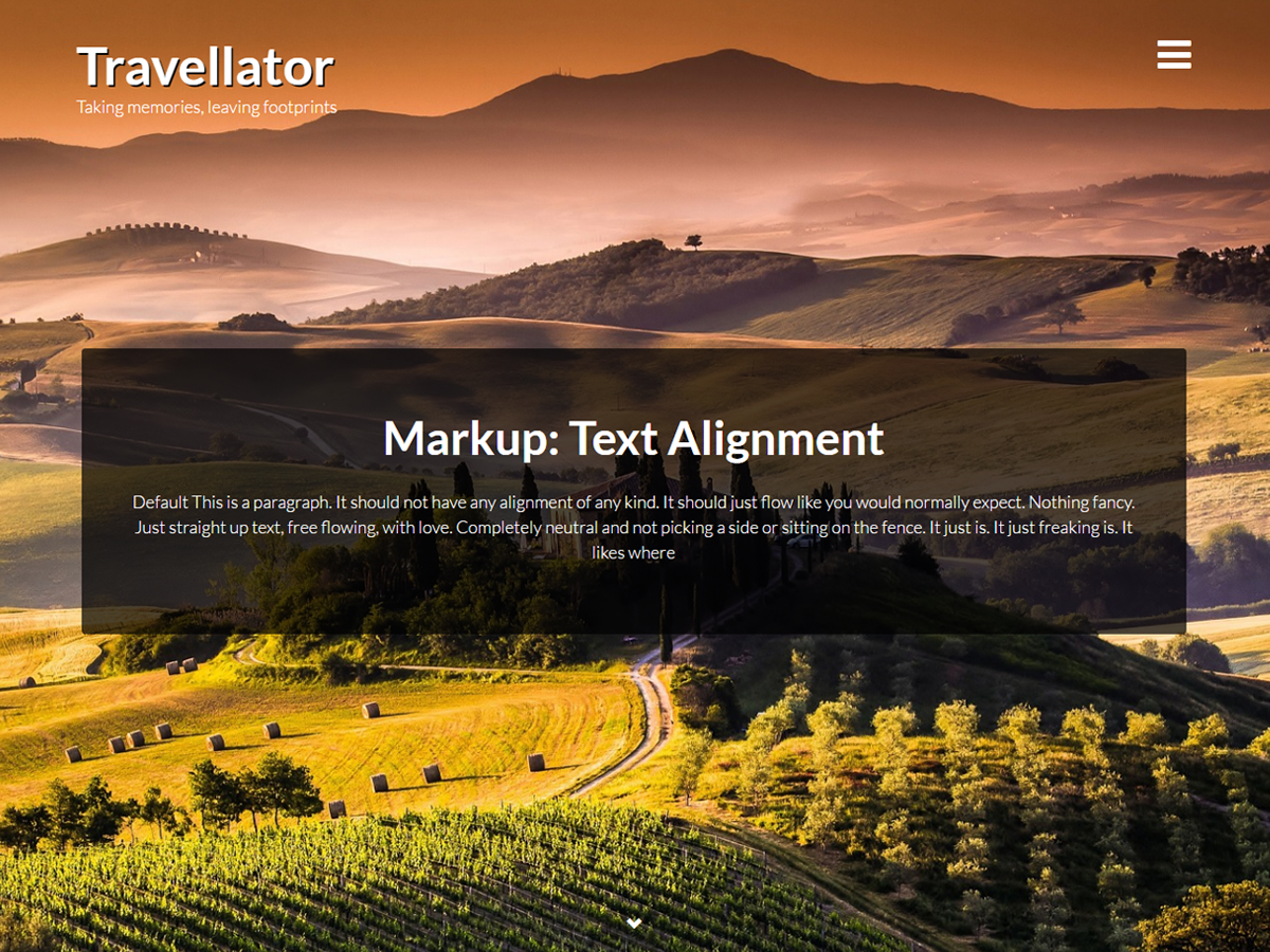 Travellator theme websites examples