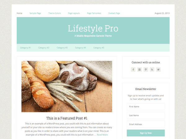 Travelpro theme websites examples