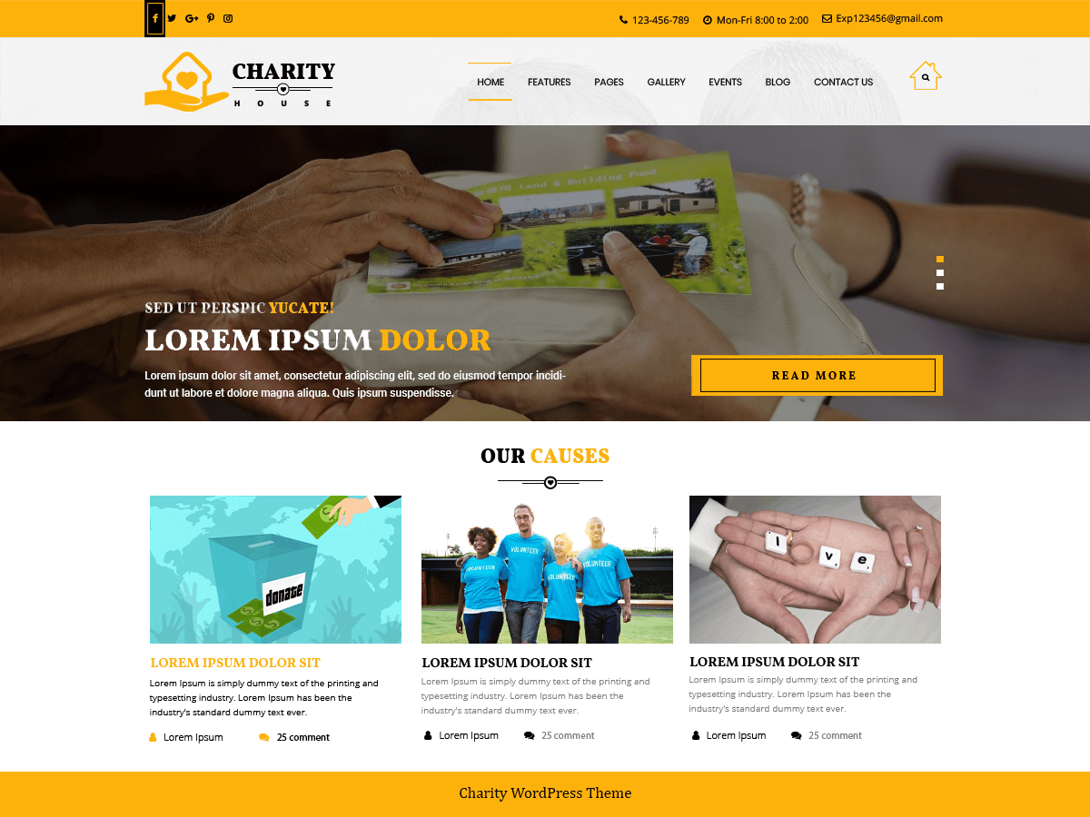 ts-charity WordPress theme, websites list used ts-charity theme ts-charity theme websites examples