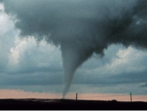 Tw theme websites examples