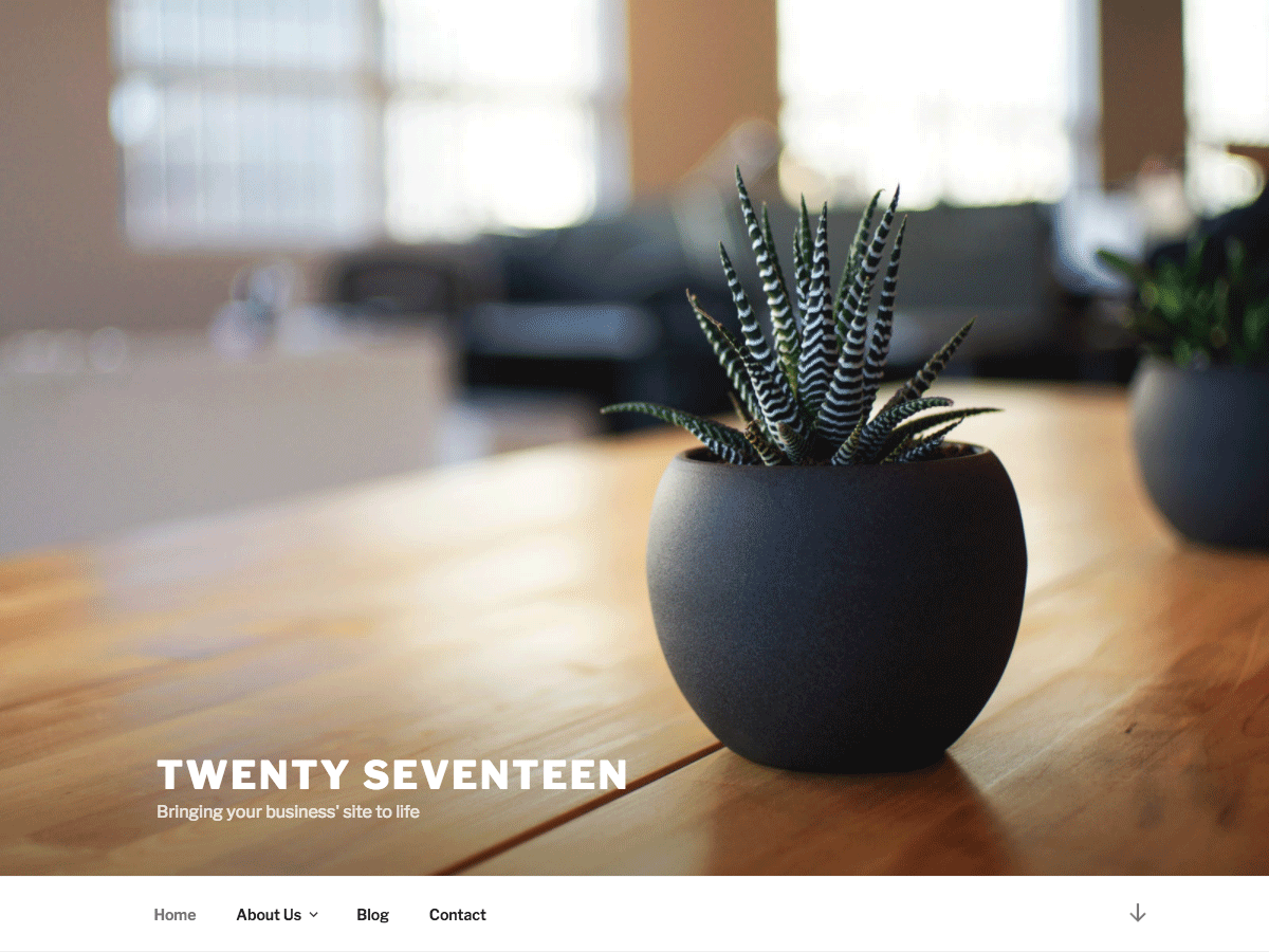 Twenty Seventeen website example screenshot