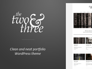 twoandthree theme websites examples