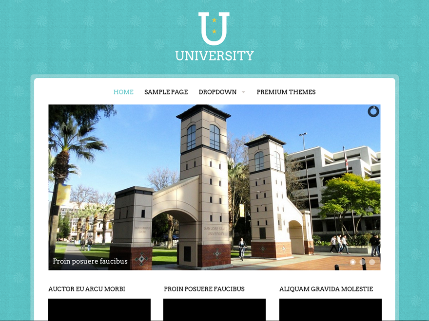 University website example screenshot