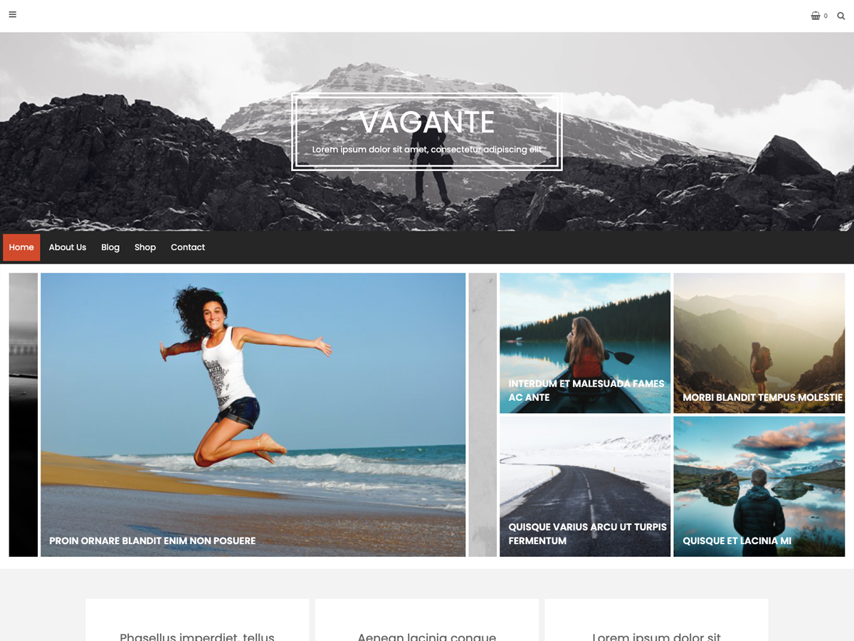 vagante theme websites examples