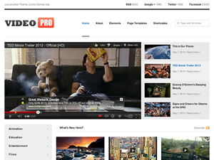 VideoPro website example screenshot