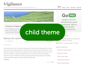 vigilance_pro_child theme websites examples