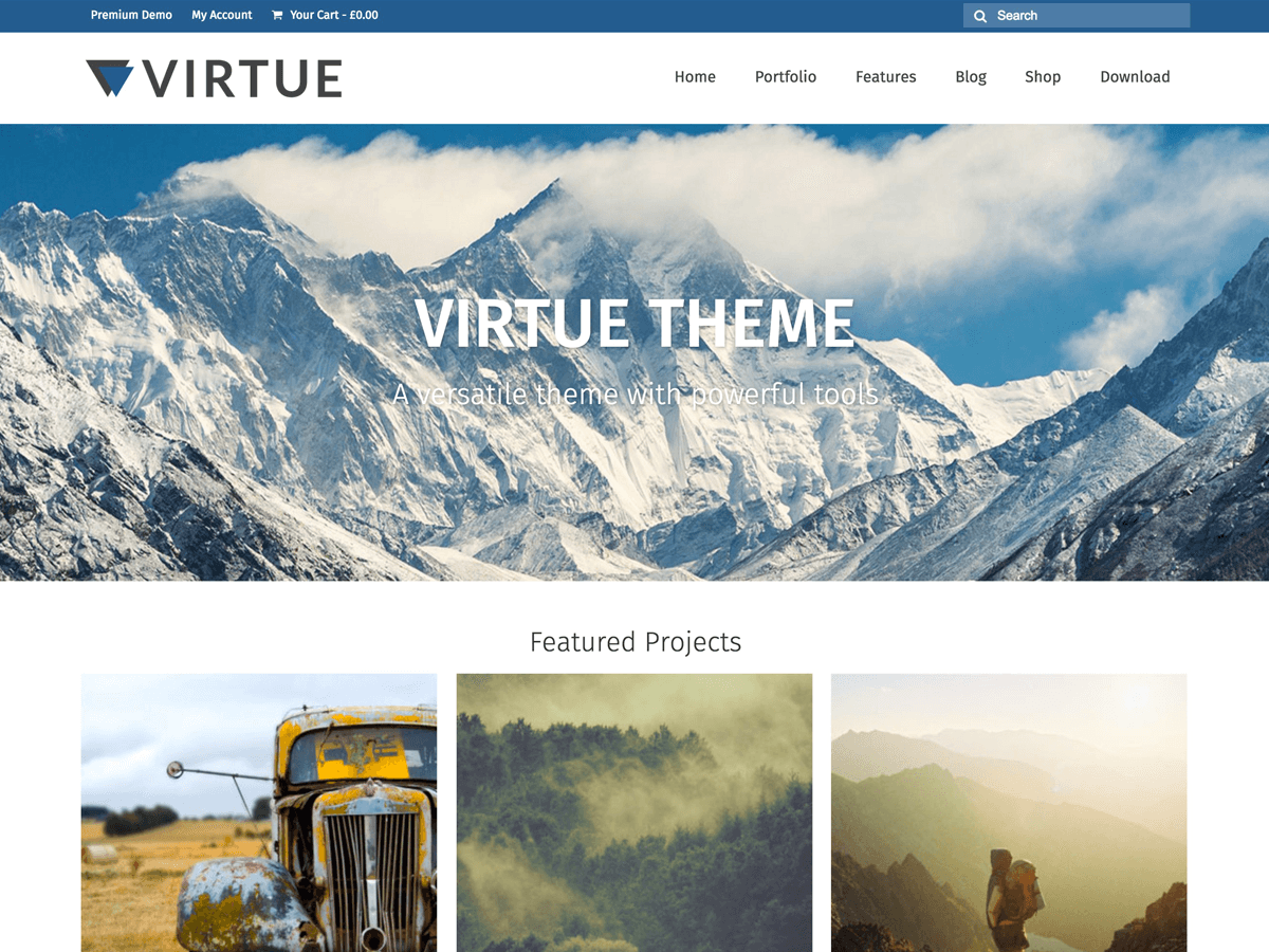 Virtue website example screenshot
