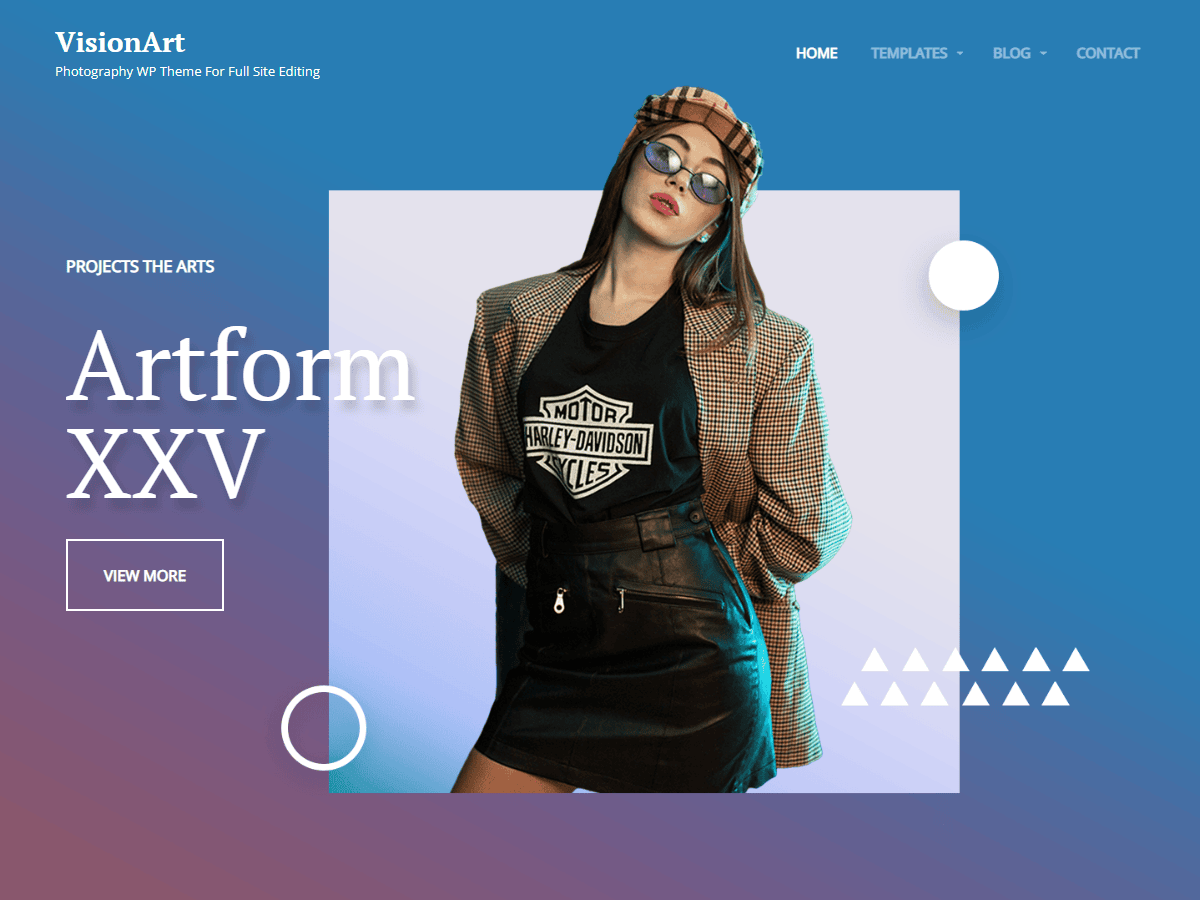 VisionArt theme websites examples