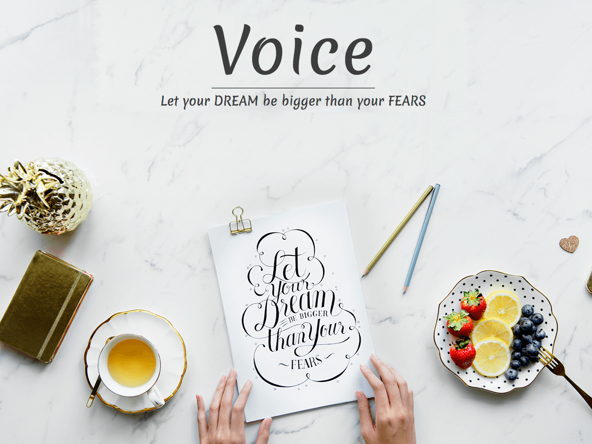 voice-blog WordPress theme, websites list used voice-blog theme voice-blog theme websites examples