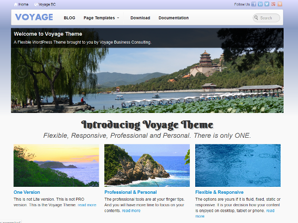 Voyage website example screenshot