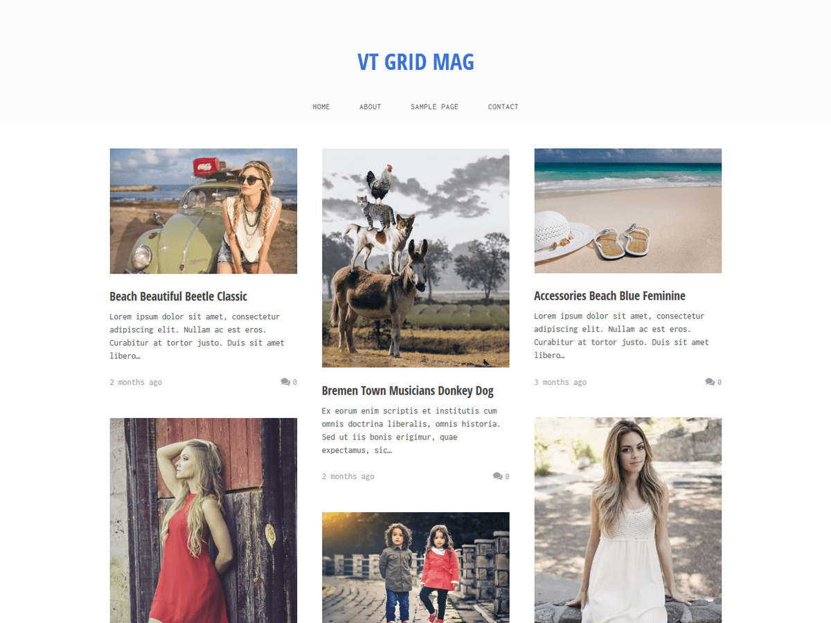 vt-grid-mag theme websites examples