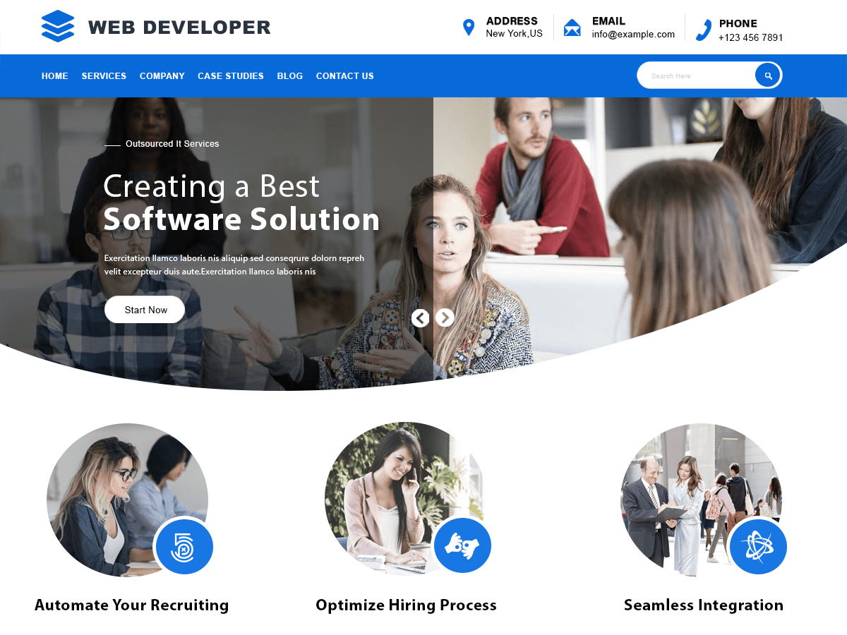 web-developer theme websites examples