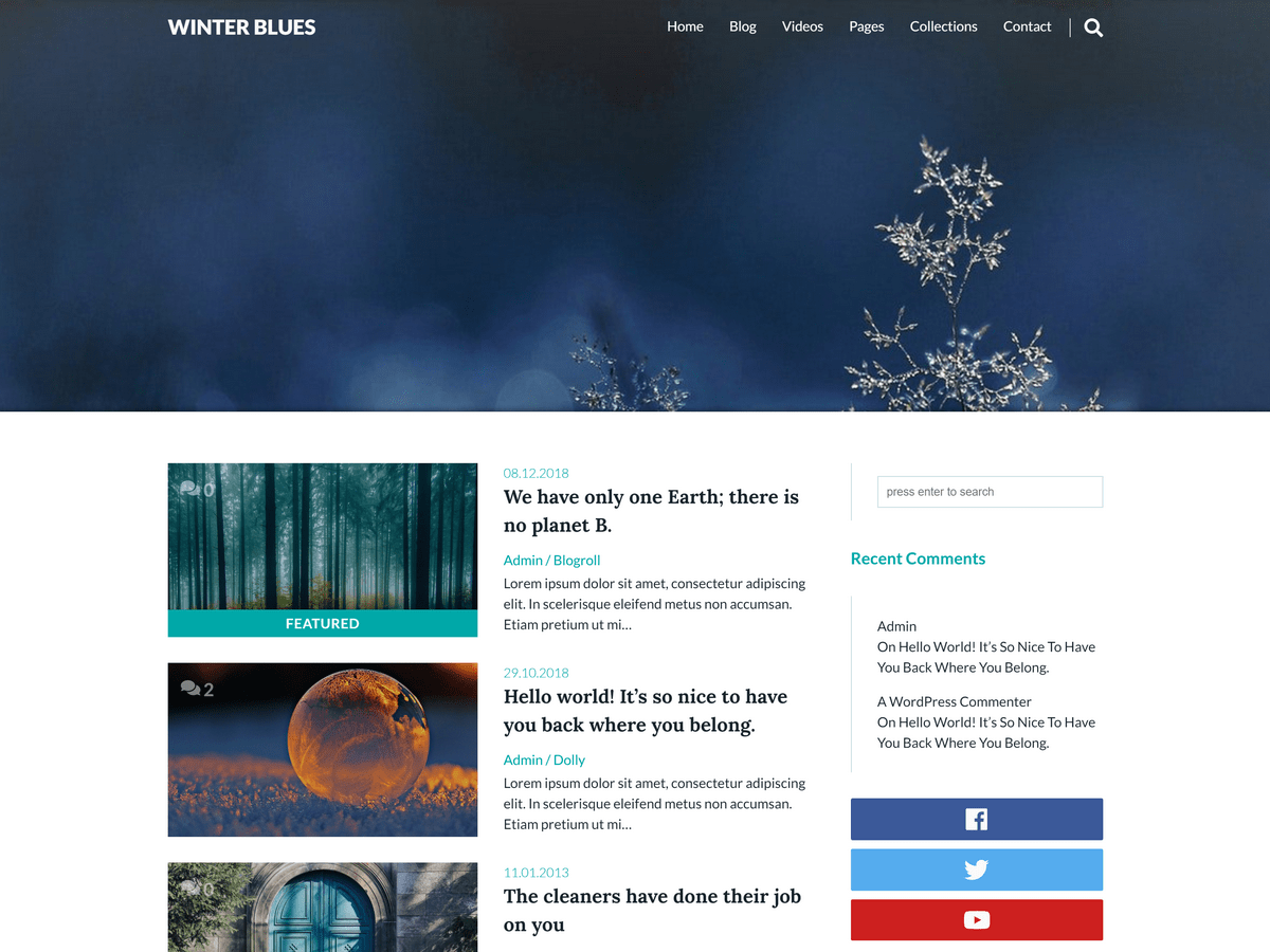 Winter Blues theme websites examples