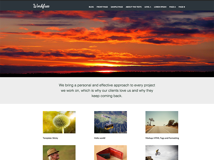 Workfree theme websites examples