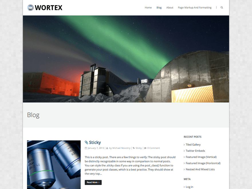 Wortex Lite theme websites examples