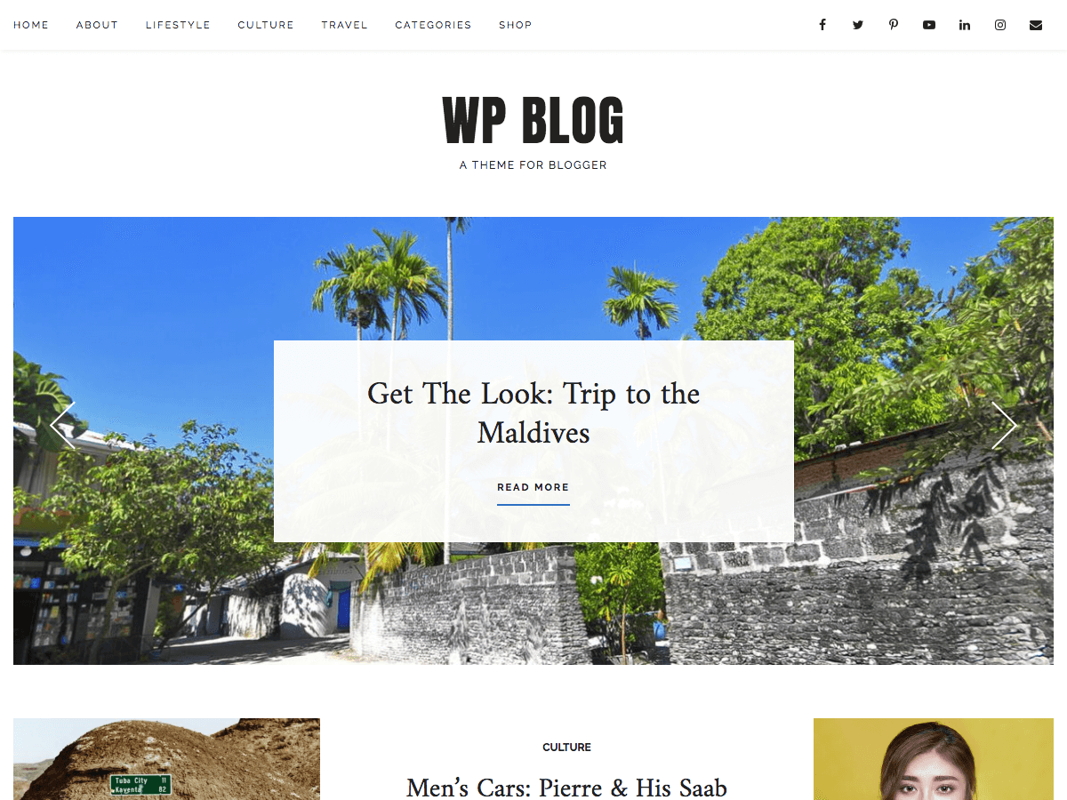 WP Blog theme websites examples