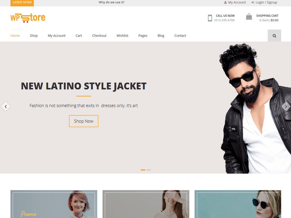 WP Store website example screenshot