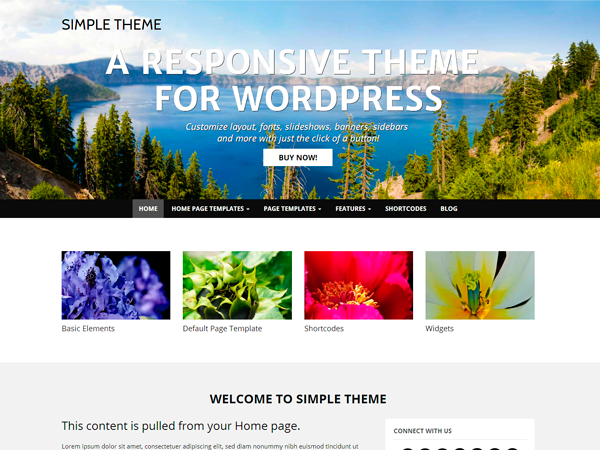 wp_simple theme websites examples