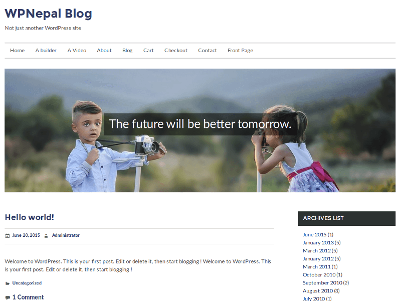 WPNepal Blog theme websites examples