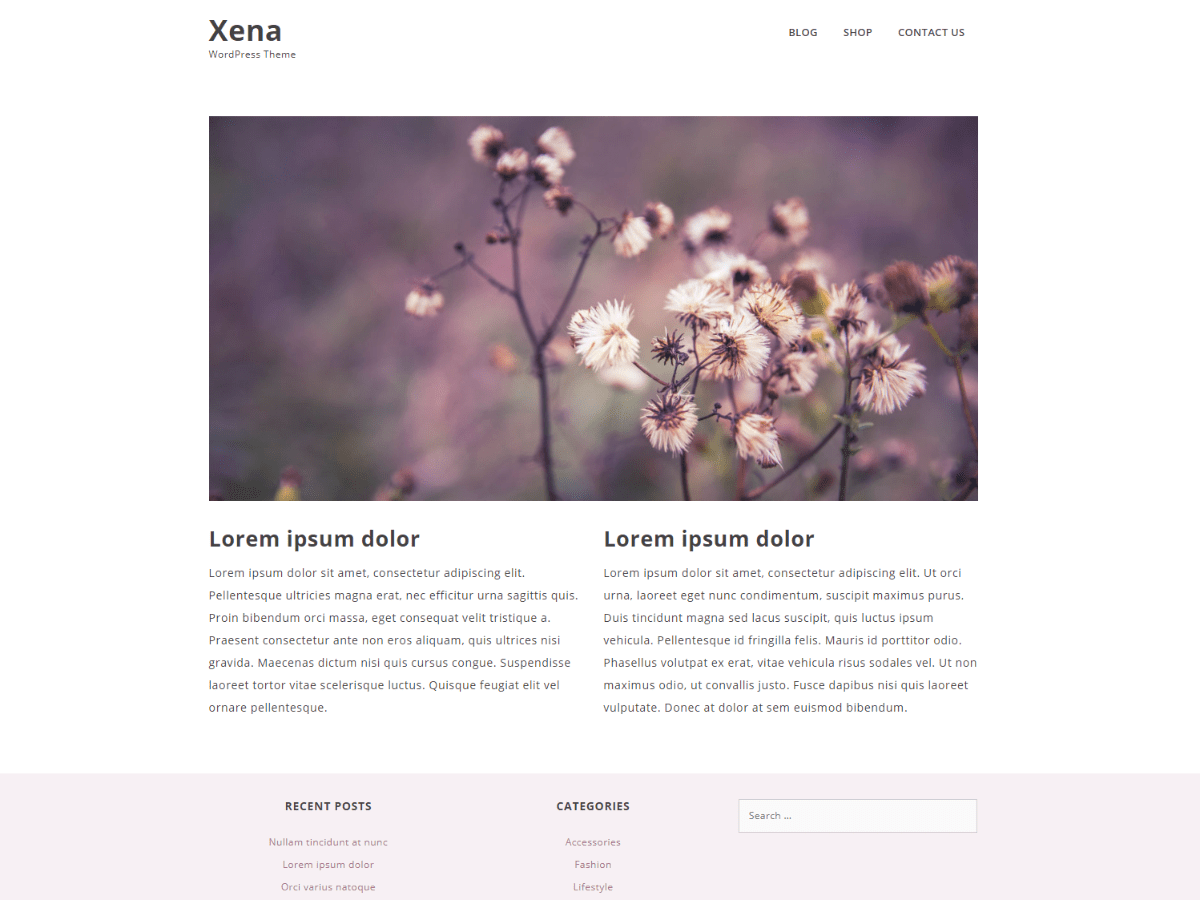 xena theme websites examples