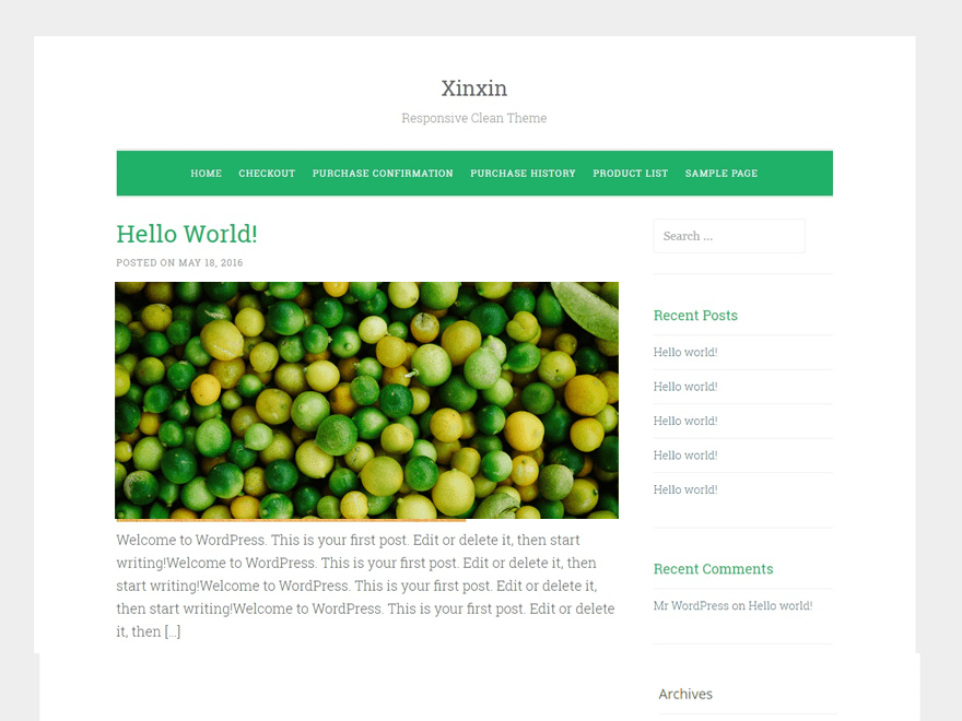 Xinxin theme websites examples