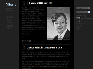 YBoris theme websites examples