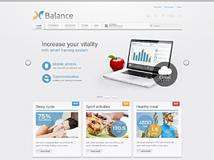 Balance website example screenshot
