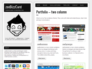 zeeBizzCard theme websites examples