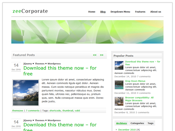 zeeCorporate website example screenshot
