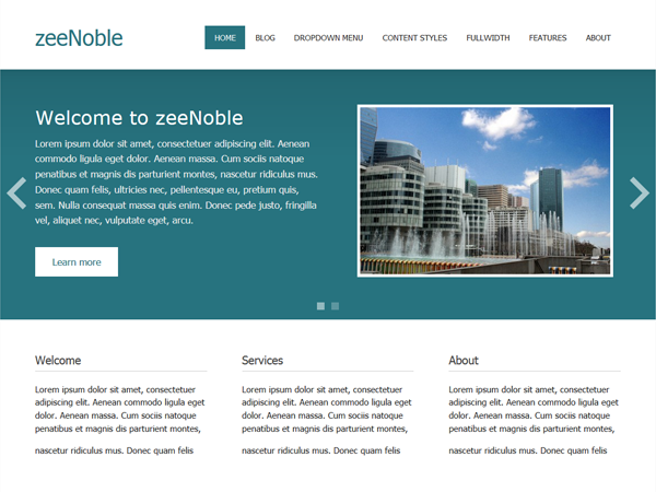 zeeNoble website example screenshot