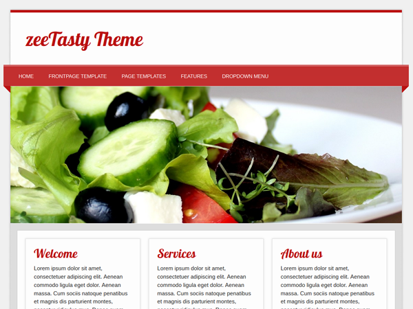 zeeTasty website example screenshot