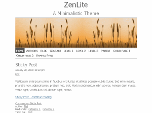 ZenLite website example screenshot