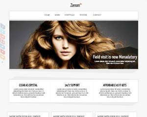 Zenon Lite website example screenshot