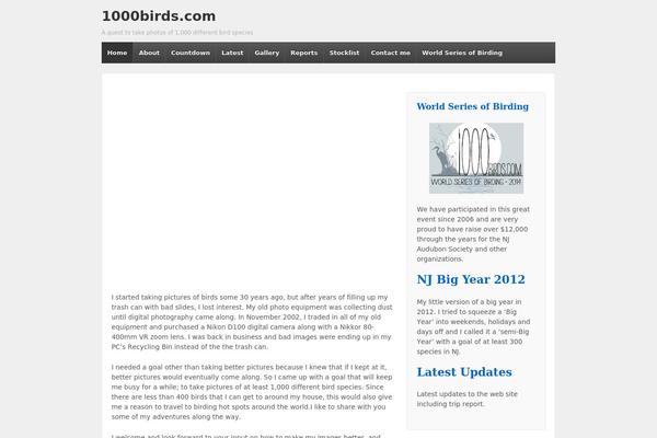 WordPress website example screenshot