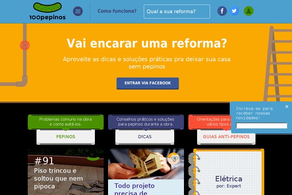 100pepinos.com.br site used Pepinos