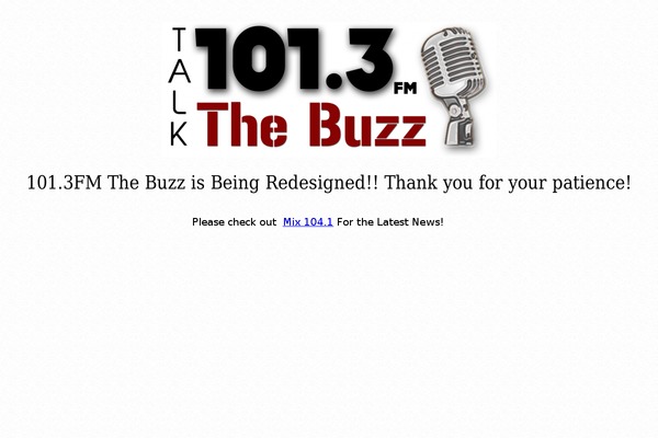 1013thebuzz.com site used Radio Station