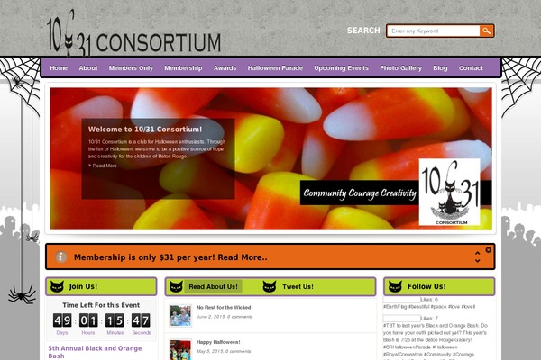1031consortium.com site used Blaksheep-creative-astra-child