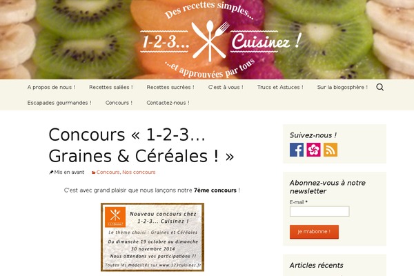 Twenty Thirteen theme site design template sample