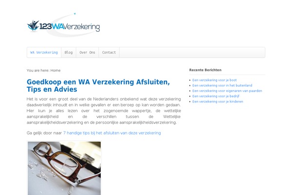 WordPress website example screenshot