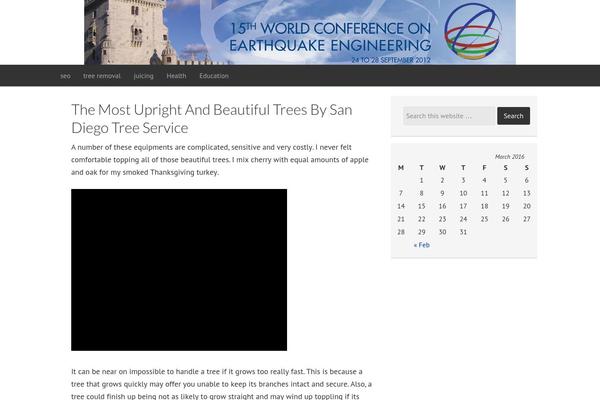 WordPress website example screenshot