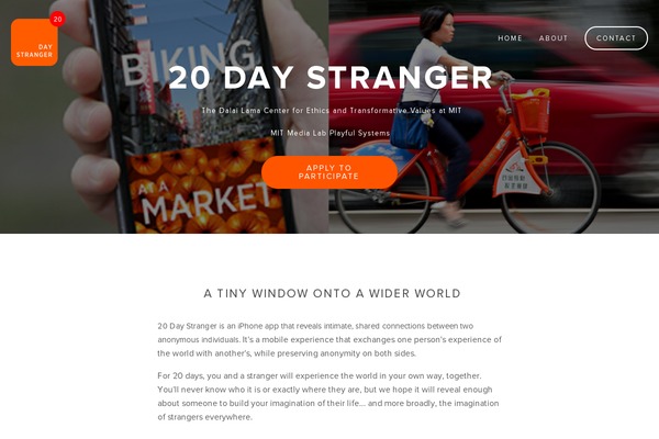 20daystranger.com site used Home-services