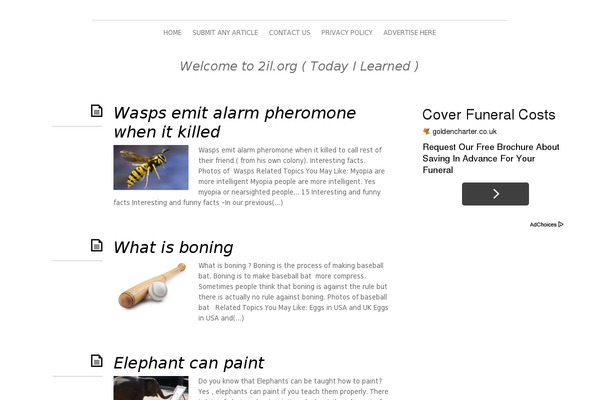 Elemin theme site design template sample