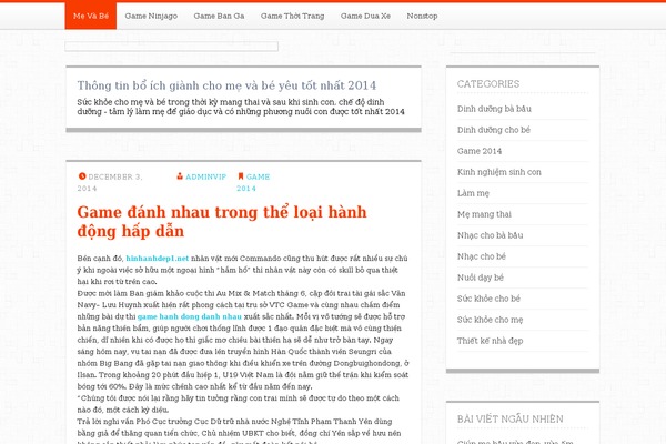 WordPress website example screenshot